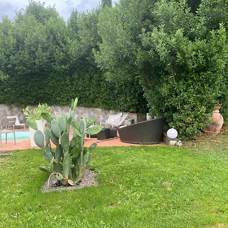 Villa Il Guscio Terranuova Bracciolini